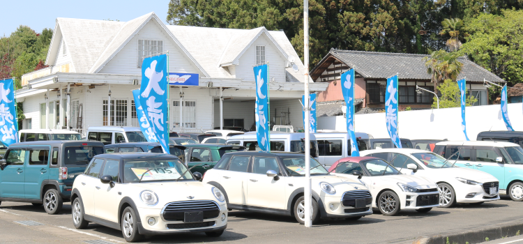 新車・中古車を常時展示